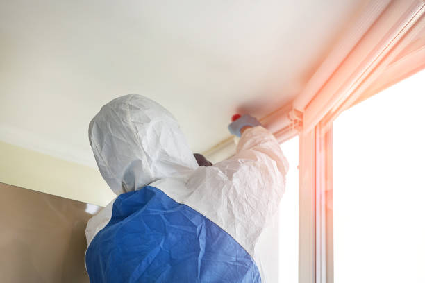 Reliable Jamestown West, NY Mold Removal Solutions